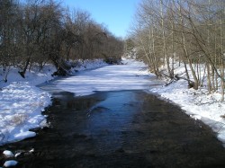 Snowy river
