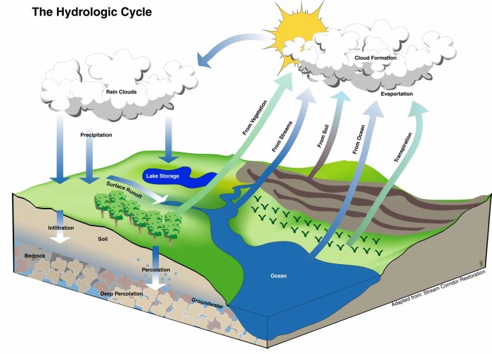 hydrologic cycle diagram