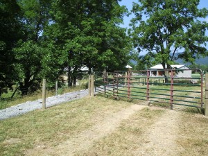 Cattle Walkway