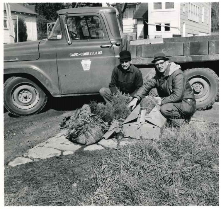 1964 Tree Sale photo